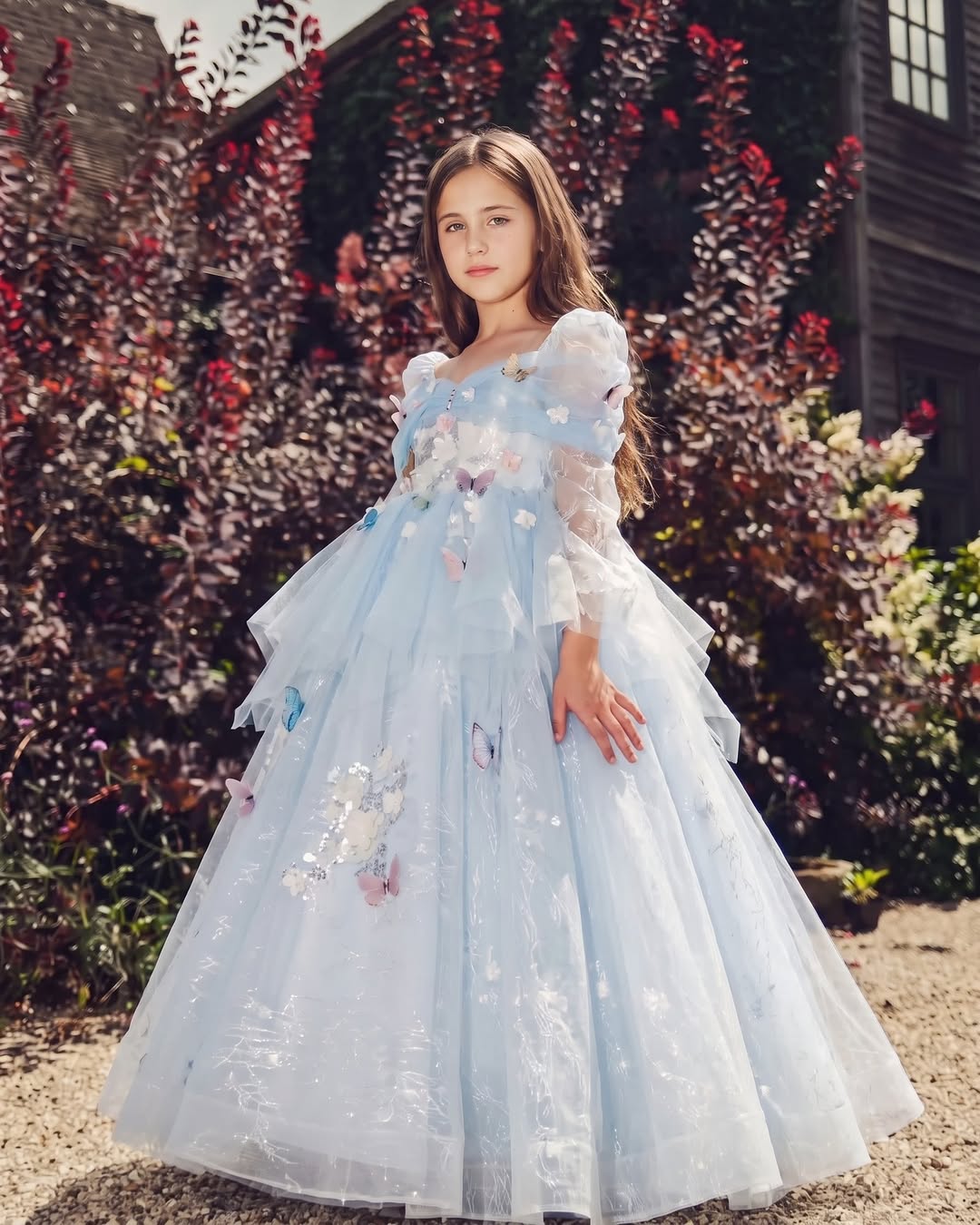 Sparkly Cinderella Inspired Butterfly Ball Gown Girls Tulle Birthday Party Dress D372