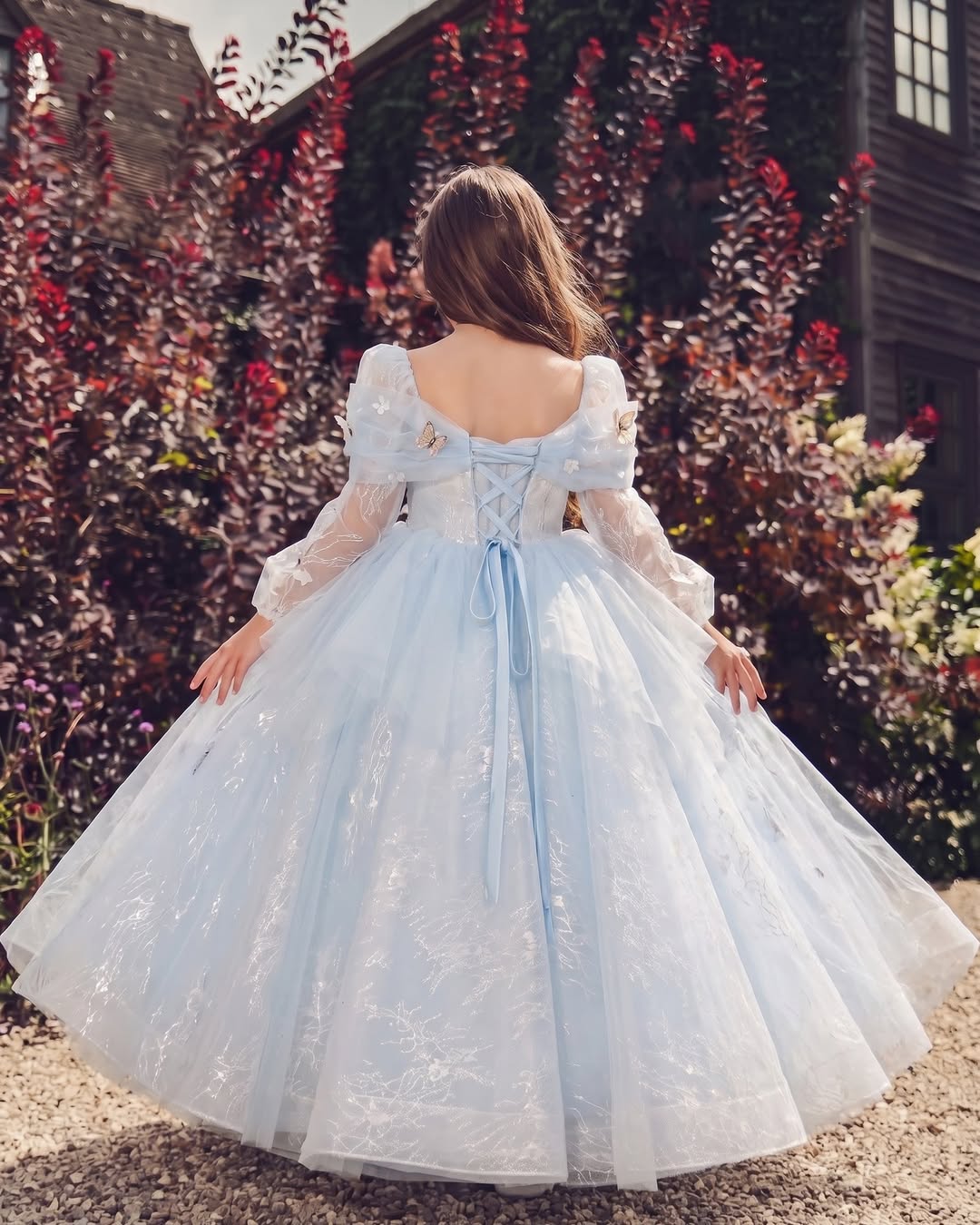 Sparkly Cinderella Inspired Butterfly Ball Gown Girls Tulle Birthday Party Dress D372
