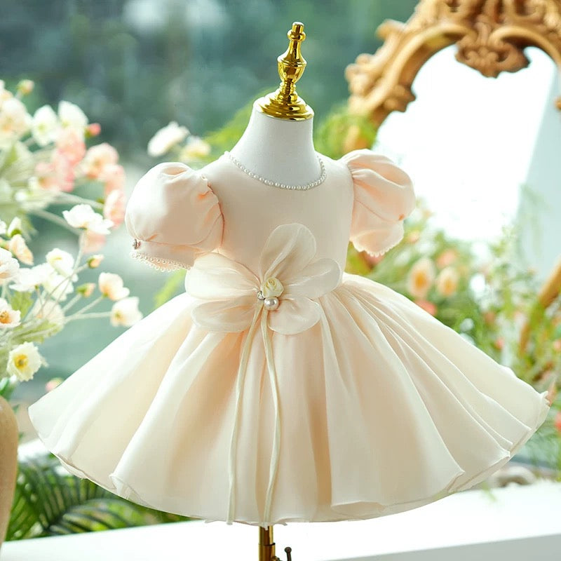Flower Girl Dress Knee Length Toddler 1st Birthday Party J415 Champagne / Child-3 Flower Girl Dress Knee Length Toddler 1st Birthday Party J415 Champagne / Child-3