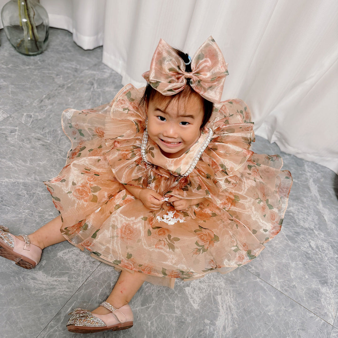 champagne baby dress Noralee Dahlia Dress in Champagne 6M Champagne Youth