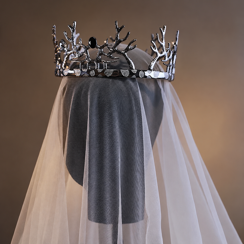 Vintage Gothic Silver Antler Crown with Black Gemstone Halloween Party Wedding Tiara XL001