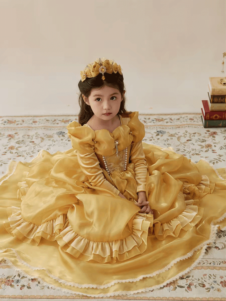 Luxury Gold Princess Flower Girl Dress with Puff Sleeves Ruffle Skirt J878