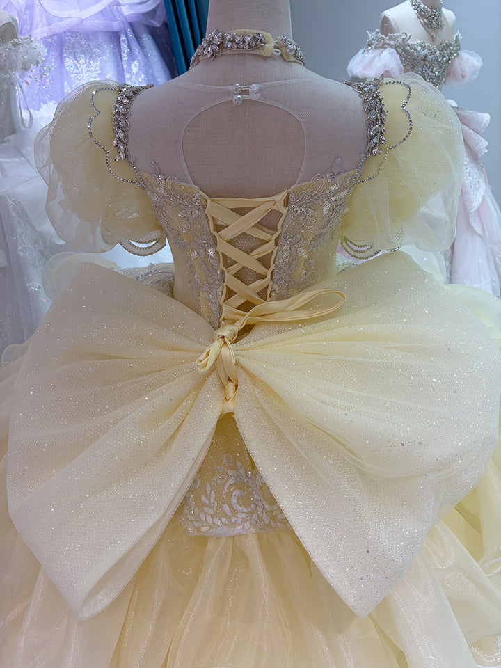 Yellow Crystal Beaded Embroidered Ruffle Princess Ball Gown for Flower Girls Dress W102