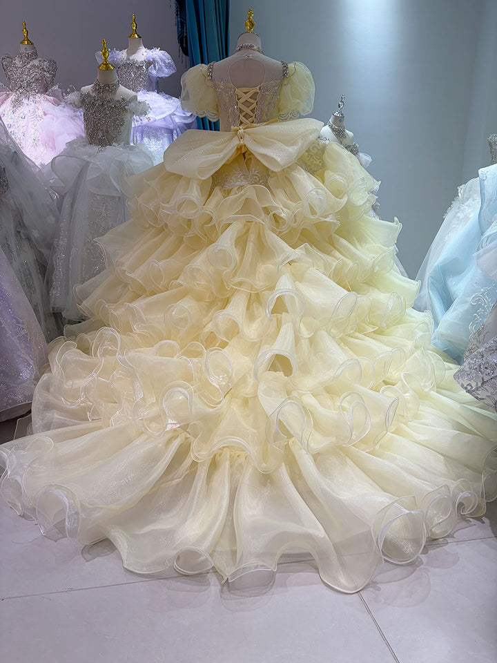 Yellow Crystal Beaded Embroidered Ruffle Princess Ball Gown for Flower Girls Dress W102