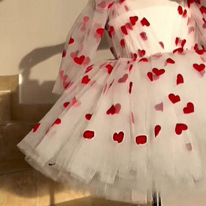 V-Neck Long Sleeve Tulle Flower Girl Dress with Bow D059