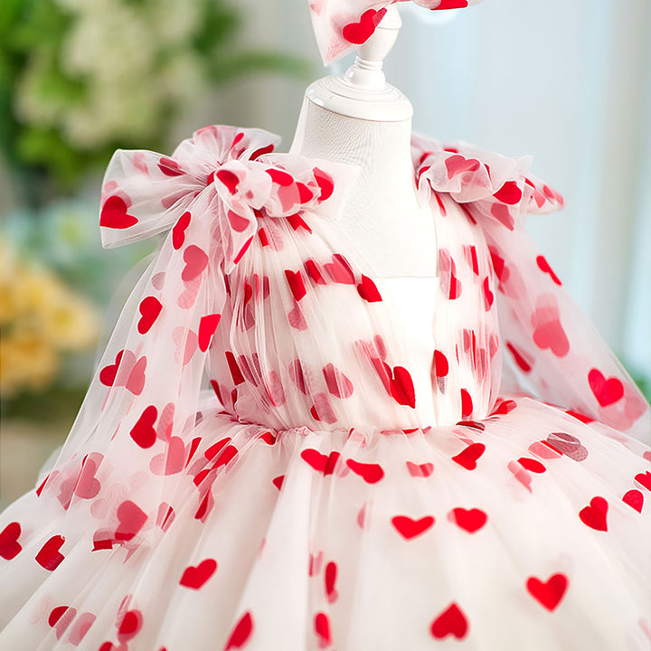 V-Neck Long Sleeve Tulle Flower Girl Dress with Bow D059